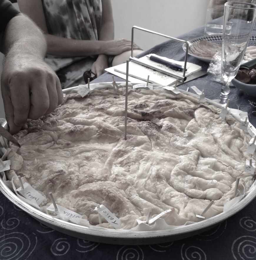 2015_Pita_-_Bleached.JPG